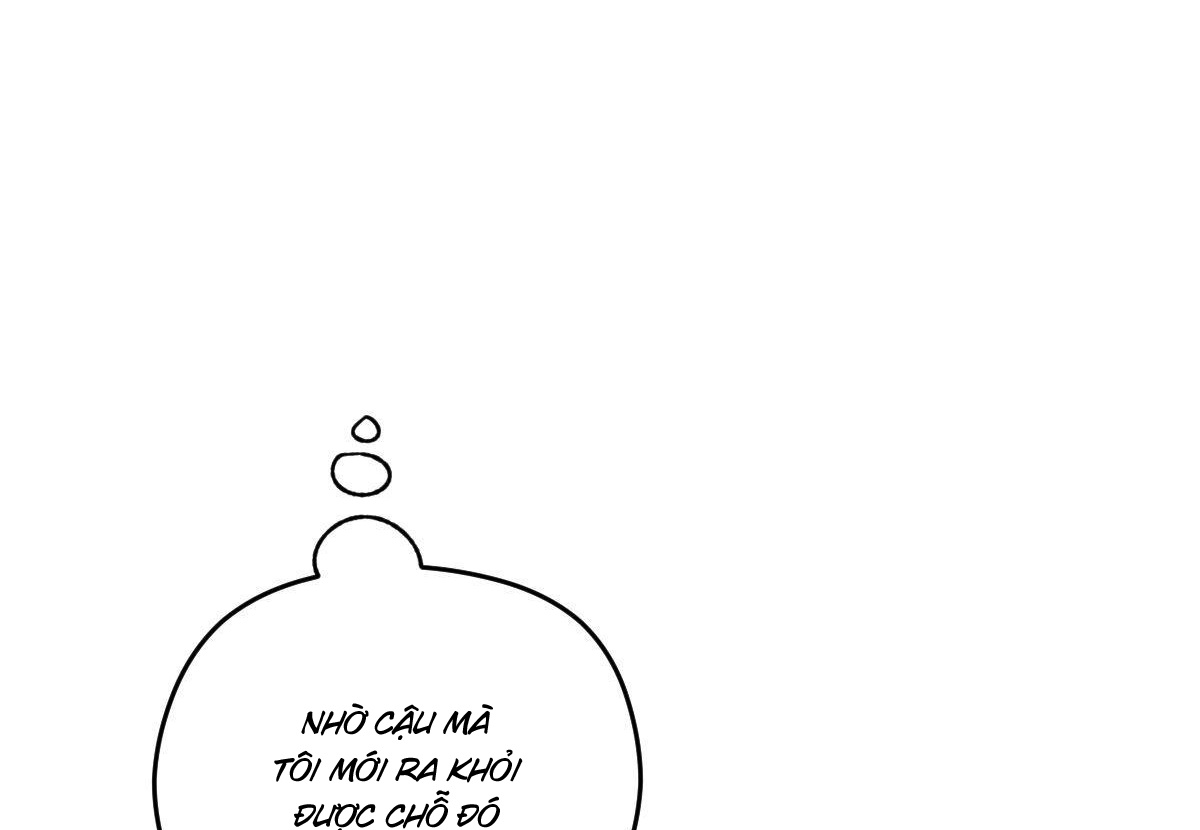 tương phùng chapter 35 39