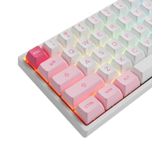 Bàn phím cơ AKKO 3068B Multi-modes Prunus Lannesiana Jelly Pink Switch Hàng Chính Hãng