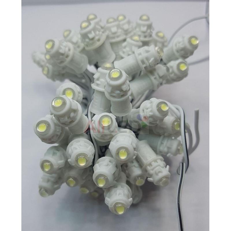 Led đúc f5/9mm 12V vàng chanh (bó 50 bóng