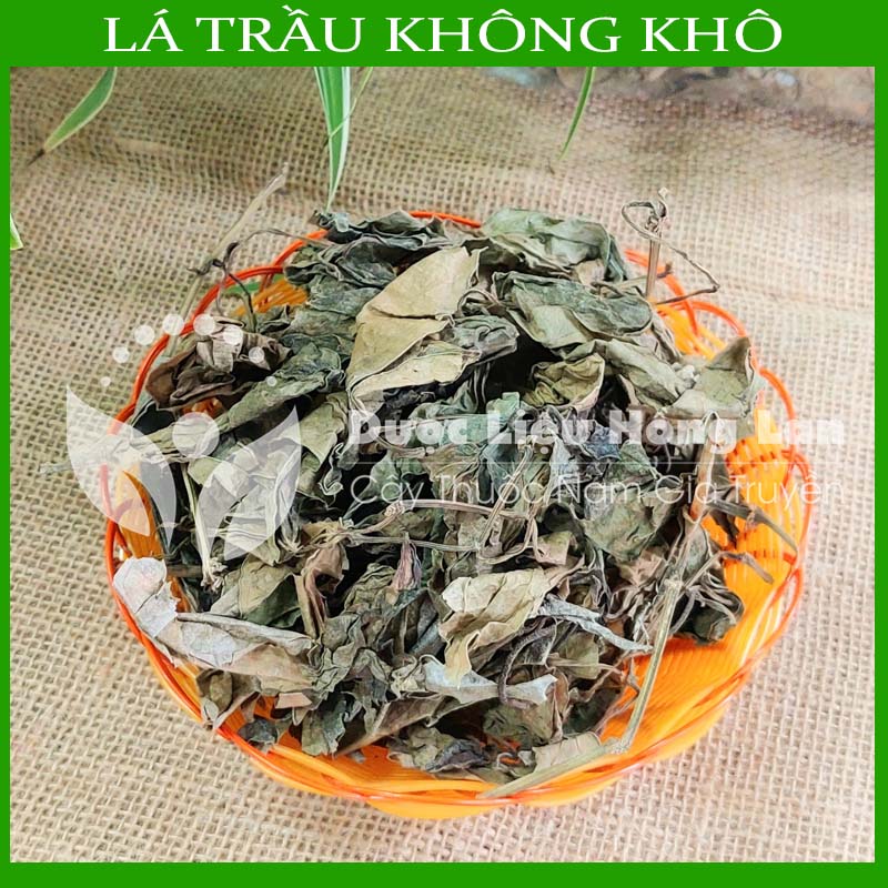  500g Lá Trầu Không khô sạch loại 1 (không có thân và cành, không chất bảo quản và không pha trộn)