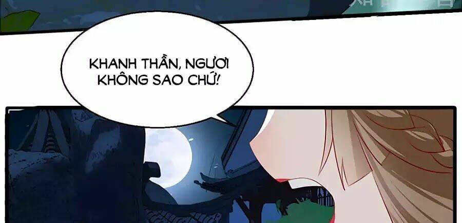 gian phi như thử đa kiều chapter 40 41