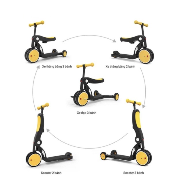 Xe scooter 5in1 đa năng  Version 2020 kèm tay đẩy