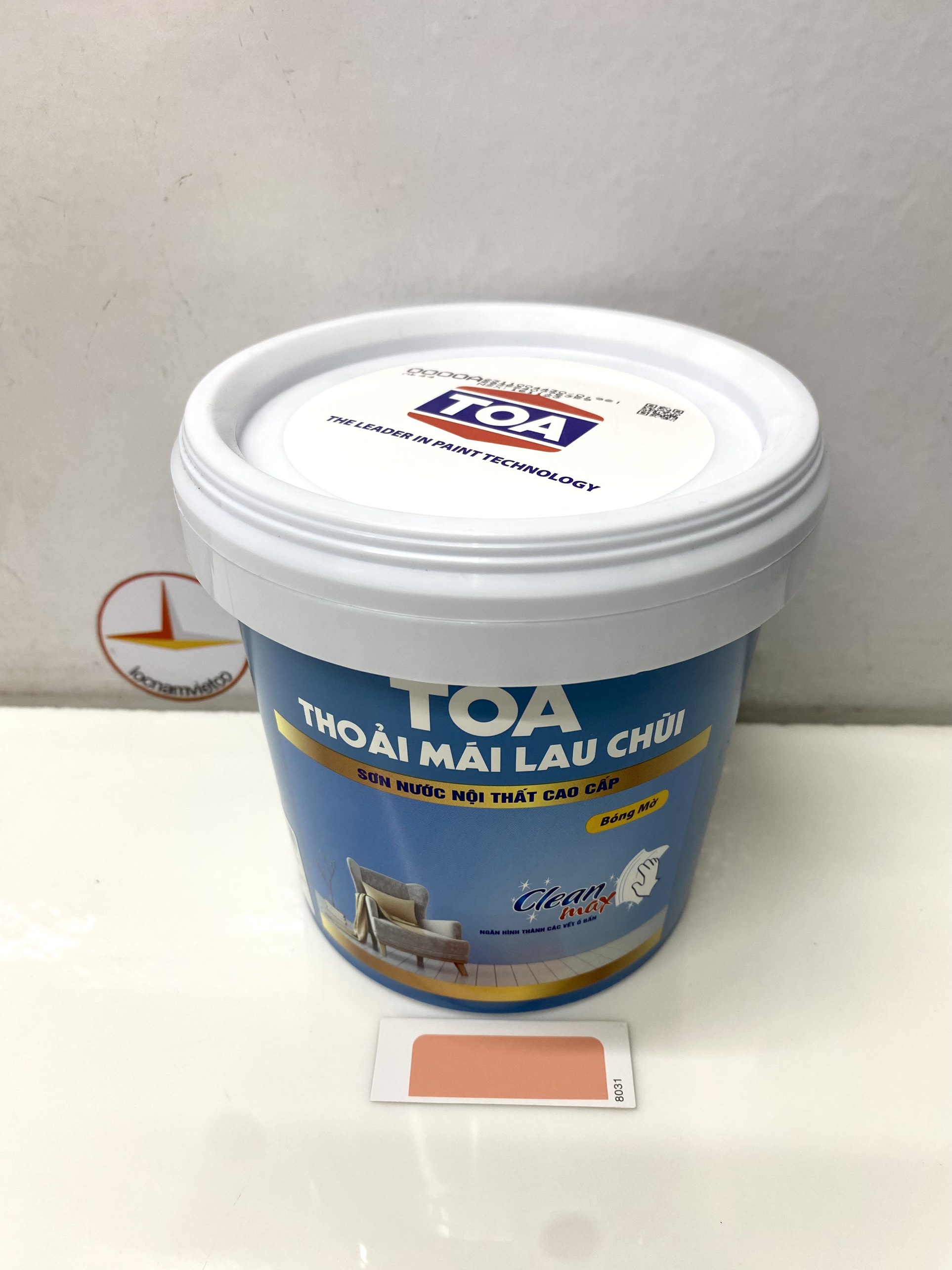 Sơn phào chỉ cho trần nhà Toa thoải mái lau chùi màu C- 8031 _1L