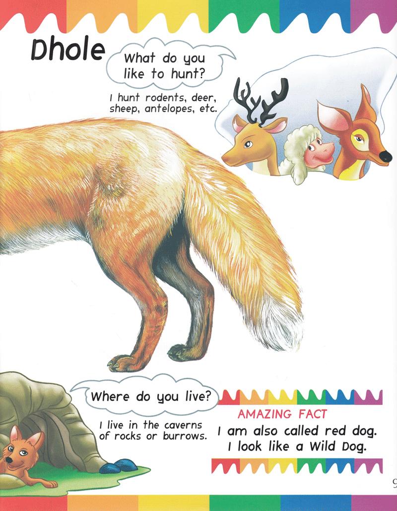 My First Questions &amp; Answers - Dogs