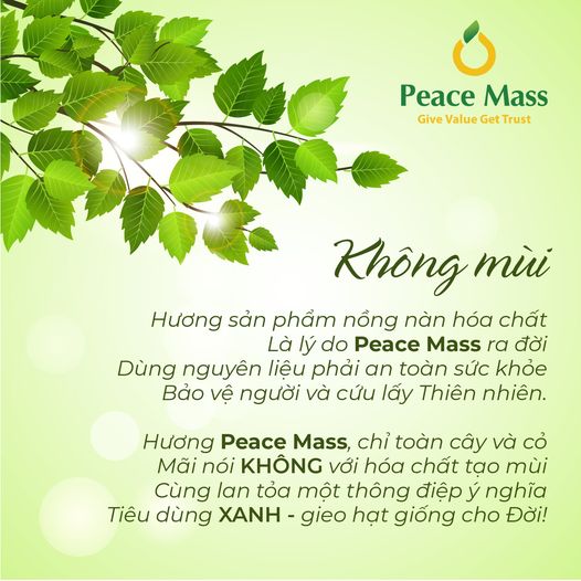 Combo Sản Phẩm Gốc Thực Vật NGB5 Peace Mass - Nước Giặt Xả 2 in 1 3.6l+ Nước Rửa Chén 3.6l + Nước Lau Sàn TD Chanh Sả - Bạc Hà 3.6l(Thuộc nhóm Sản phẩm Lành tính / Hữu cơ)