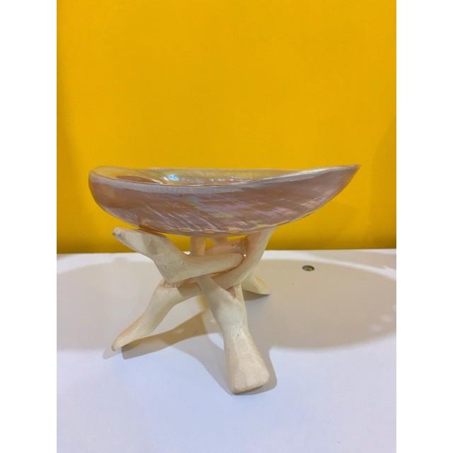 Đĩa ốc xà cừ Vỏ sò/bào ngư đốt sage/ xô thơm - Chân đế đỡ gỗ xoài ( Abalone Shell with Natural Wooden Cobra Stand)