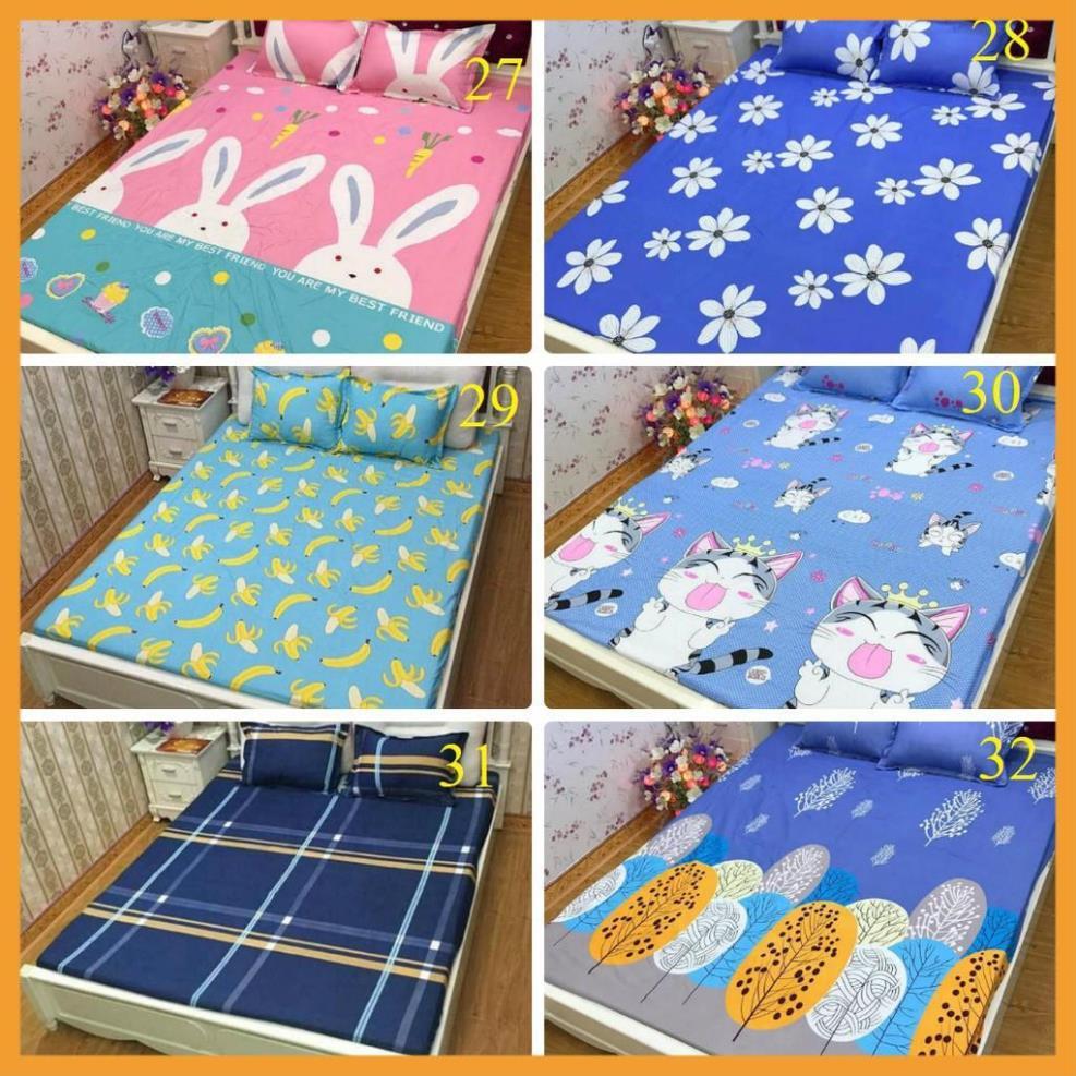 Lẻ = sỉ bộ ga chun cotton poly m6 hoặc m8