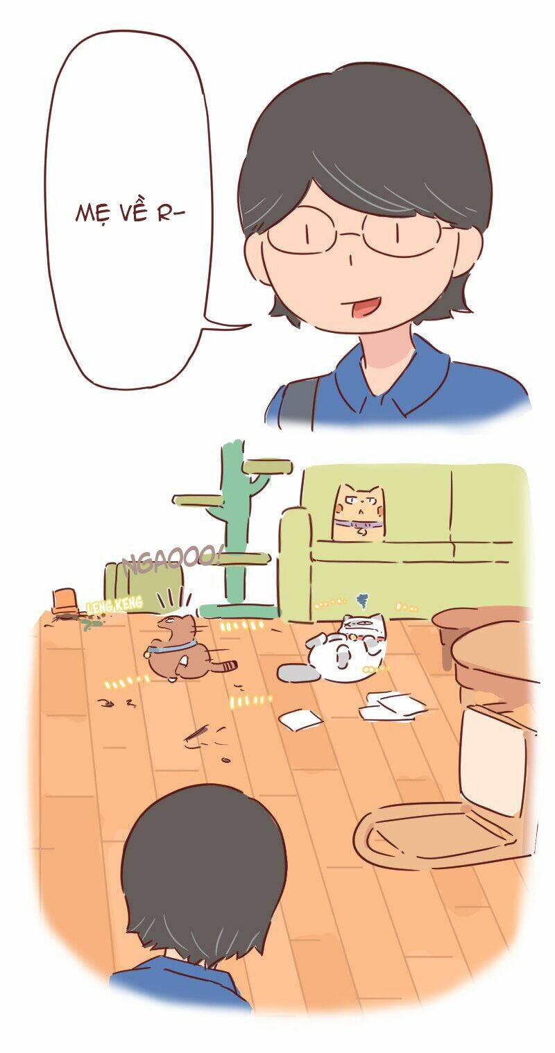saphie: chú mèo một mắt chapter 28 20