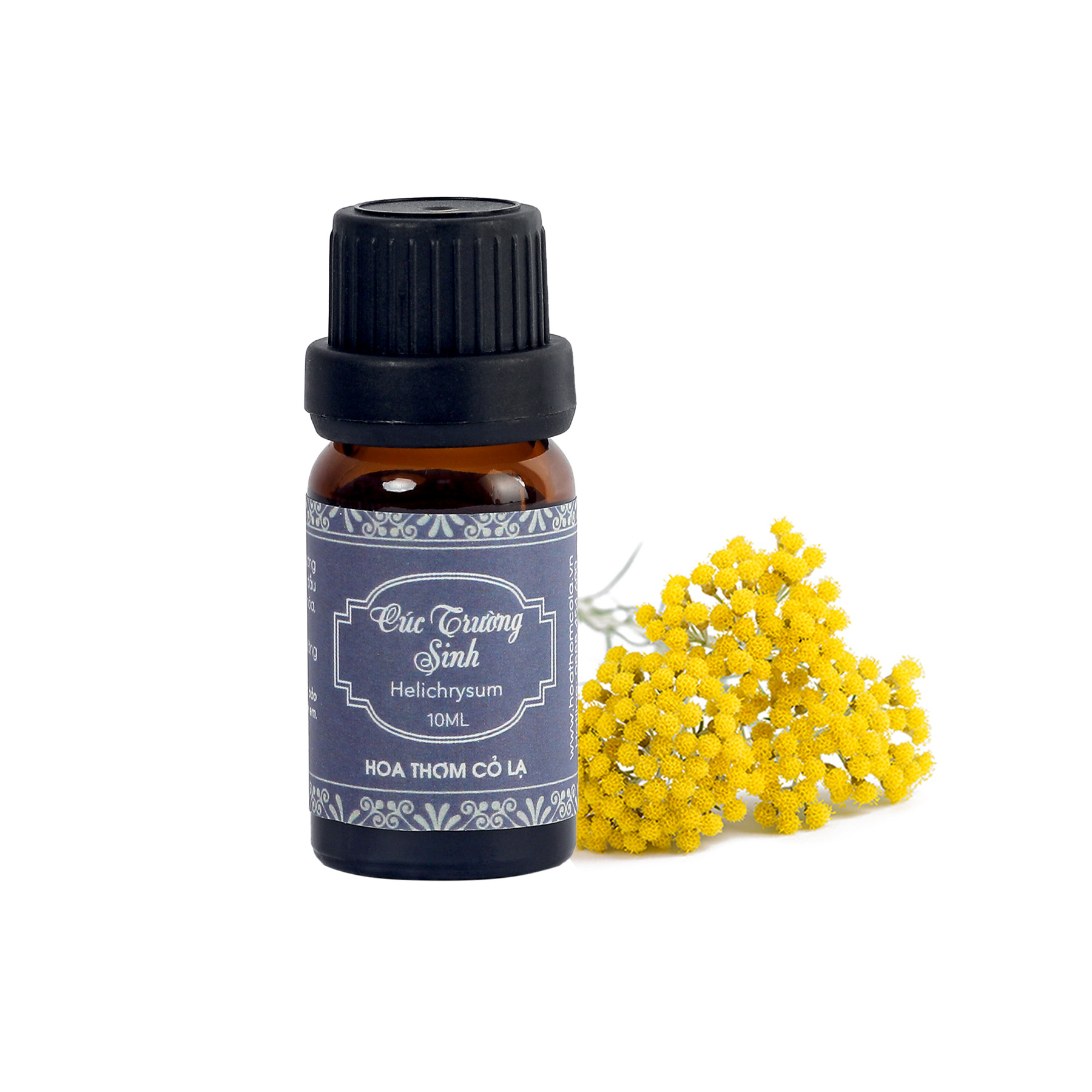 Tinh Dầu Cúc Trường Sinh - Helichrysum Essential Oil 5ml - Hoa Thơm Cỏ Lạ