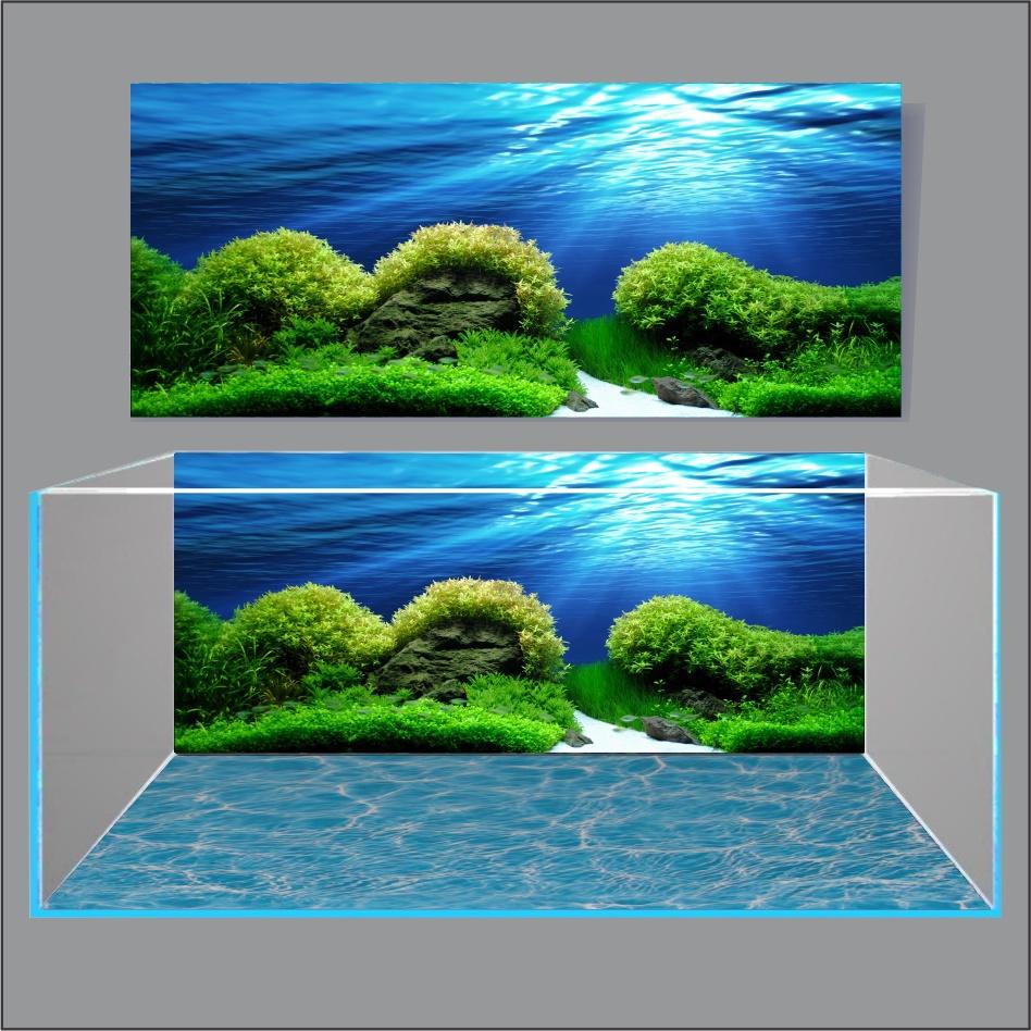 TRANH THỦY SINH DÁN HỒ CÁ 3D NEW DESIGN