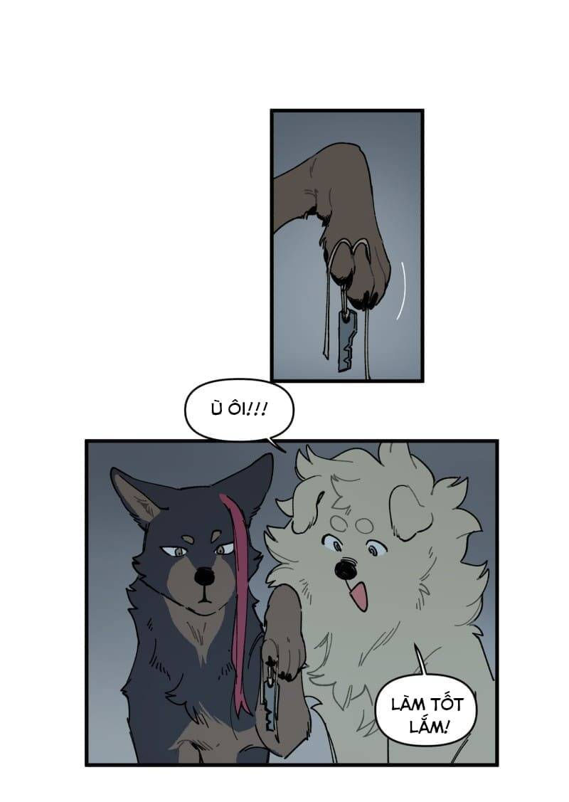 lumine - cội nguồn ánh sáng chapter 145 18