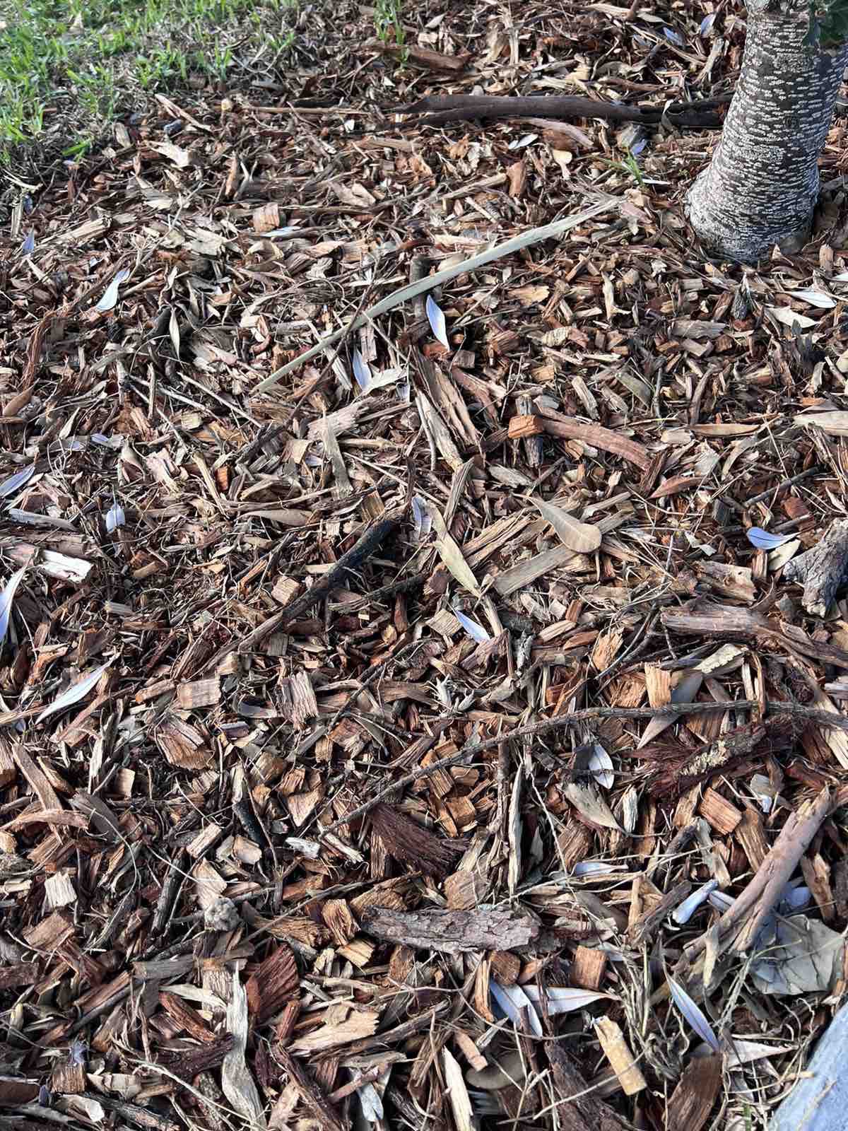 *** Wood chip, chip mulch - tổng kho mảnh gỗ mùn rải sân vườn