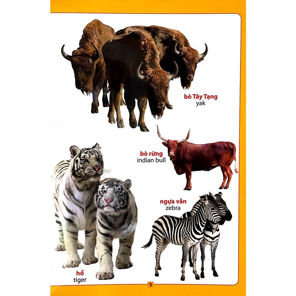 Từ Điển Bằng Hình - Loài Vật Quanh Em - Sách Song Ngữ Cho Bé KĐ