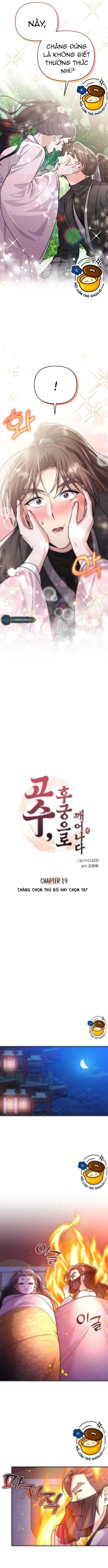 chủ tướng tỉnh dậy bỗng trở thành phi tần chapter 19.1 5