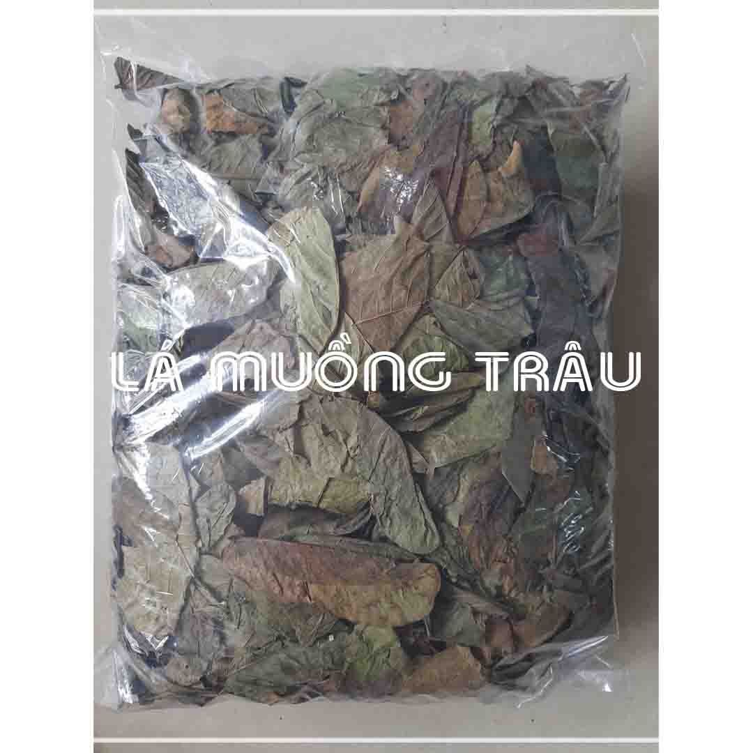 Lá Muồng Trâu khô đóng gói 1kg