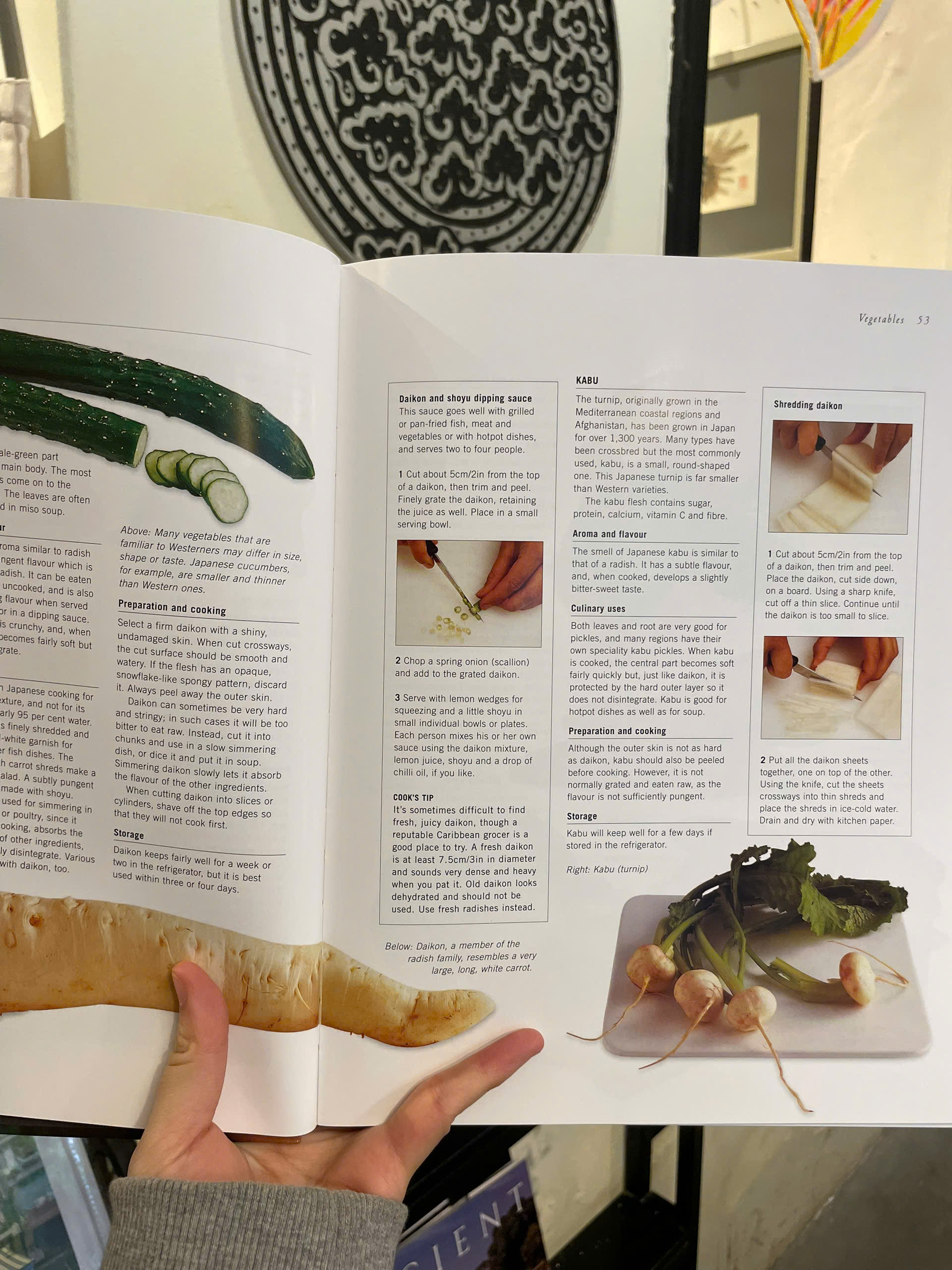 Sách - Japanese Cooking: The Traditions, Techniques, Ingredients &amp; Recipes - Emi Kazuko - Bìa cứng