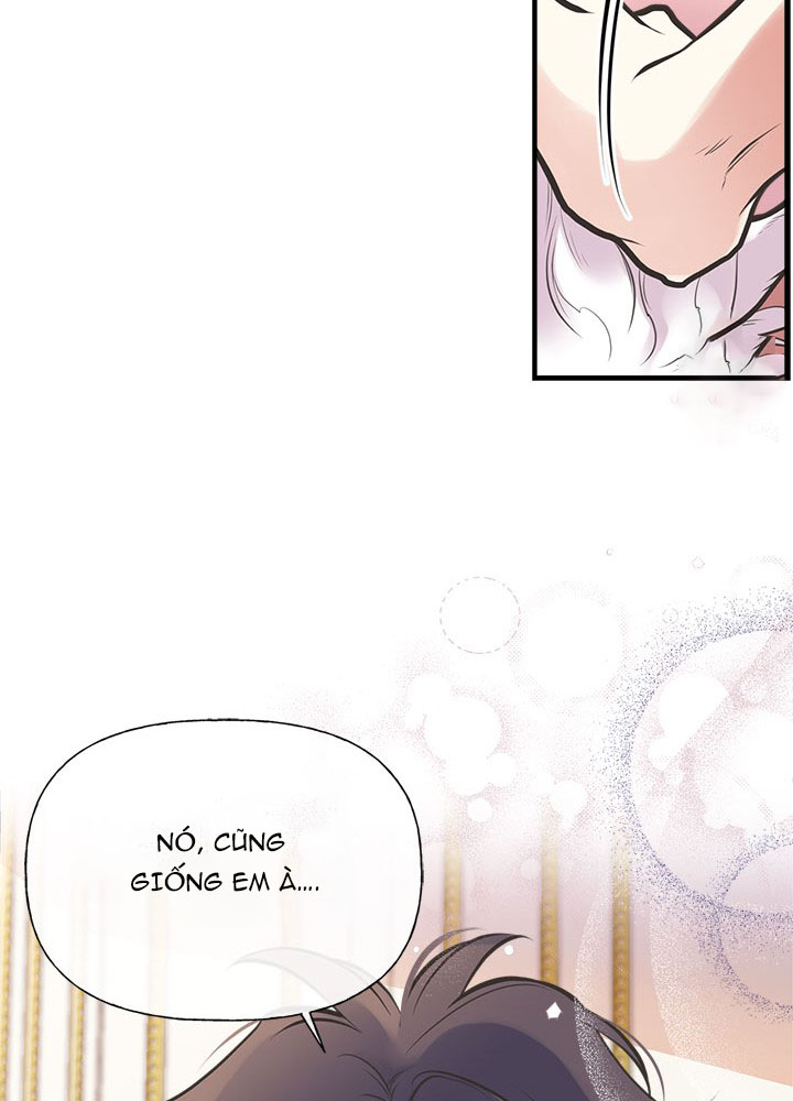 chị tôi đã nhặt về một nam chính quyến rũ chapter 52 26