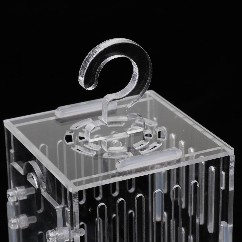 Durable Acrylic Small Insect Cage Grasshopper Feeding Cricket Cage Indoor Toy