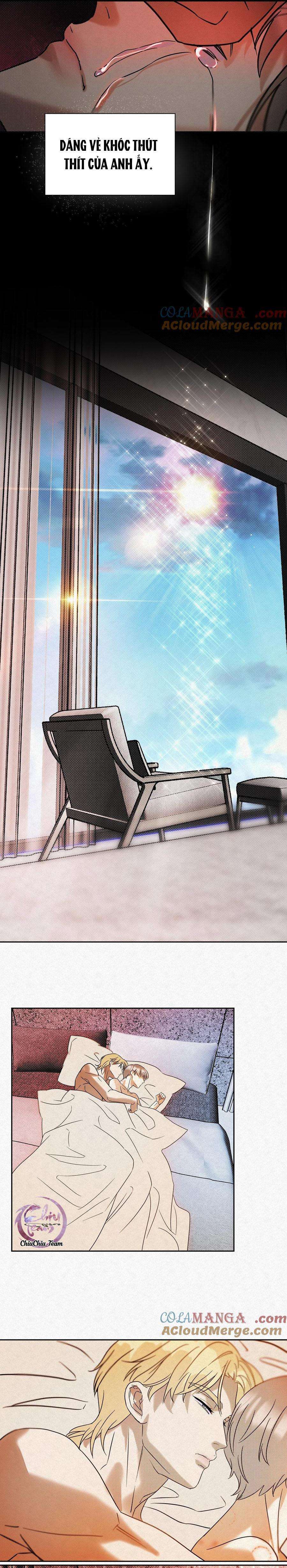 anh trai rẻ tiền của tôi chapter 17 13