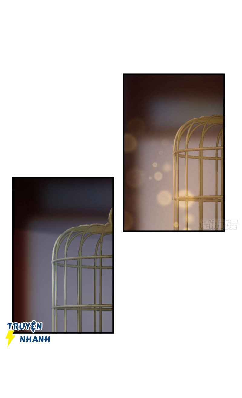 lễ băng nhạc hoại chi dạ chapter 13 11