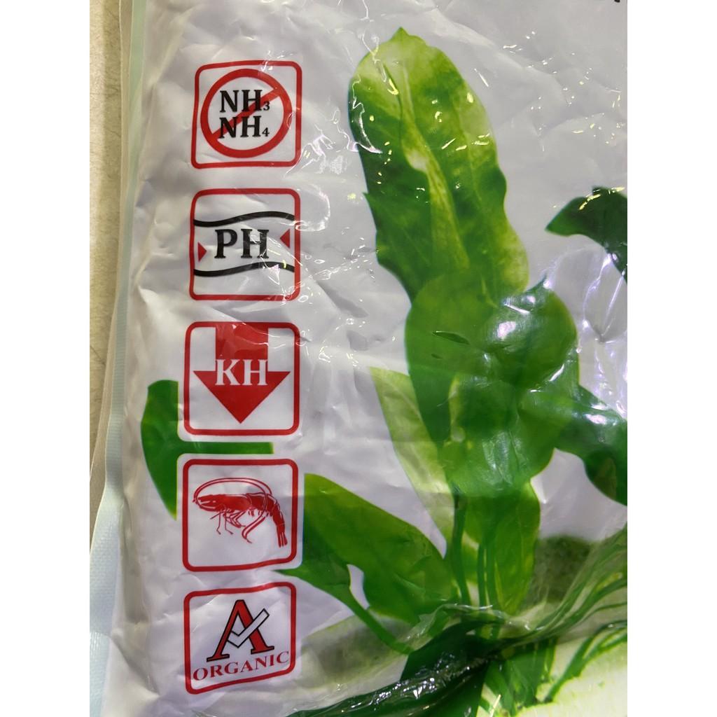 PHÂN NỀN EVER GREEN