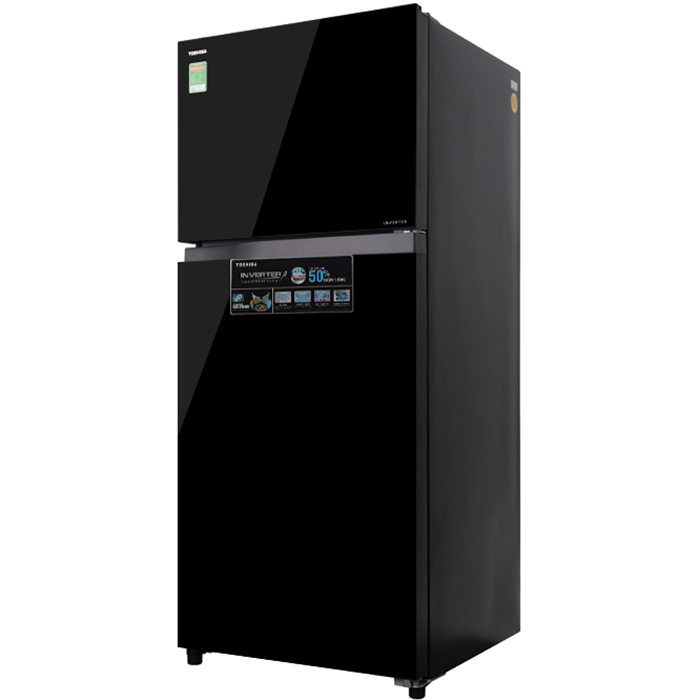 Tủ Lạnh TOSHIBA GR-AG41VPDZ 359L