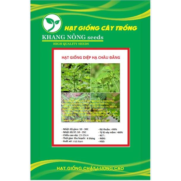 Hạt giống diệp hạ châu đắng - cây dược liệu KNS3518 - Gói 50 hạt