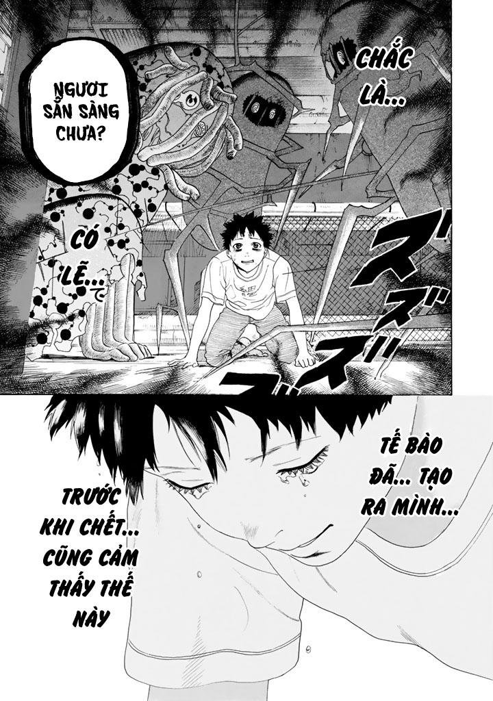 hataraku saibou! chapter 24 23