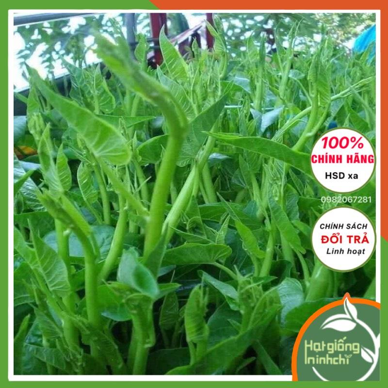 Hạt rau muống siêu ngọn Thái lan F1, Gói 30 Gram, Rau củ quả trồng sân thượng, tại vườn, ban công.