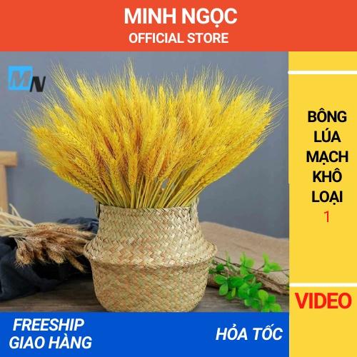 Bông Lúa Mạch Khô, Trang Trí Nhà Cửa  - Siêu Thị Minh Ngọc