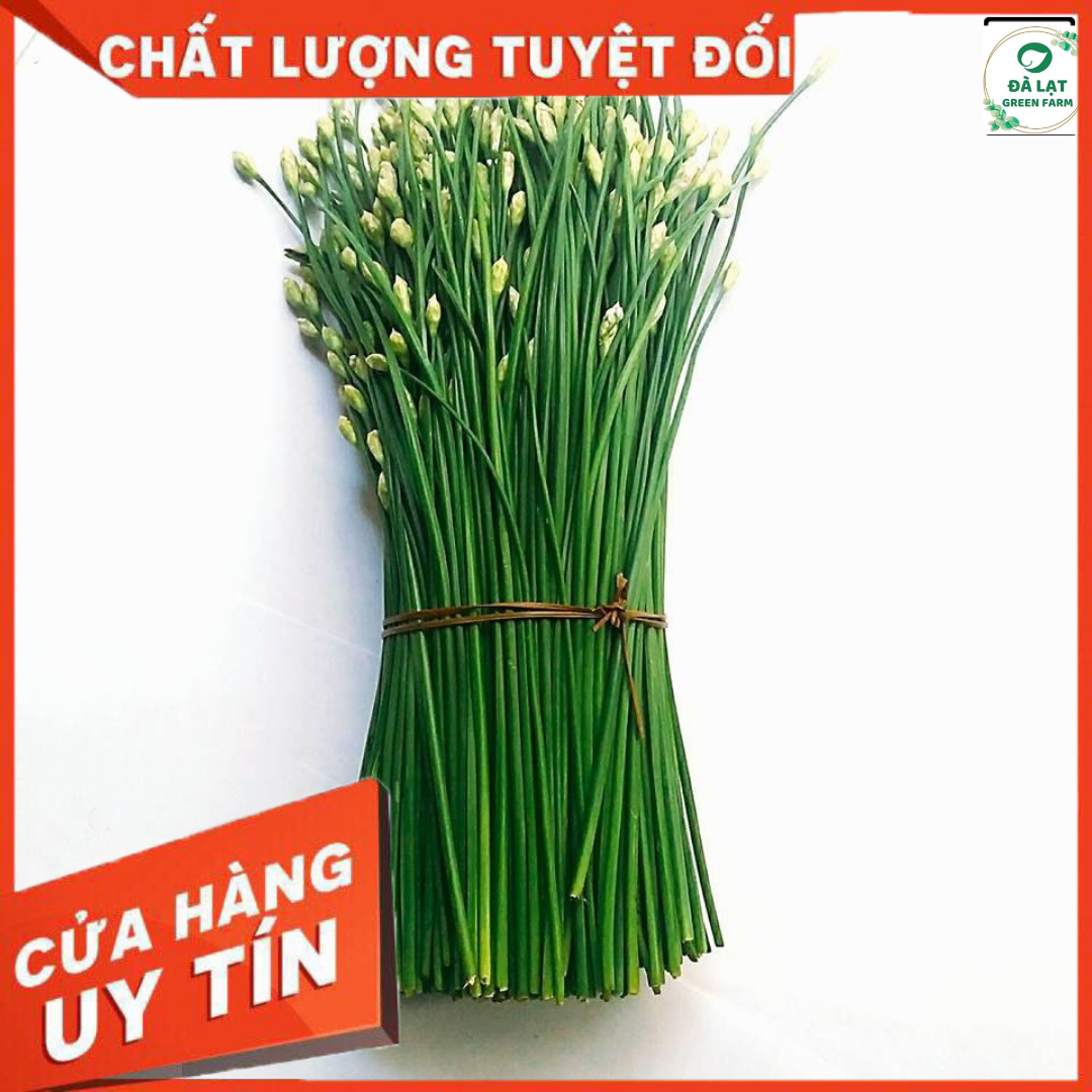 1GR - HẠT GIỐNG HẸ BÔNG