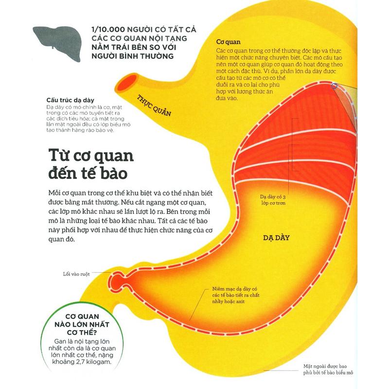 Sách - Hiểu hết về cơ thể (How the body works) (Nhã Nam HCM)