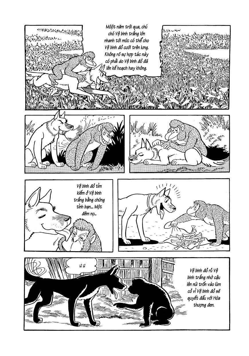 chim lửa chapter 80 19