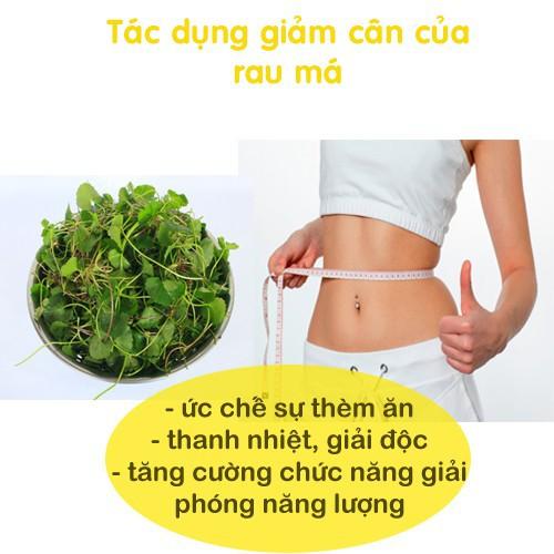 Bột rau má Behena , thanh lọc cơ thể, giảm mụn, làm đẹp da, ngăn ngừa táo bón (Hộp 50gram)