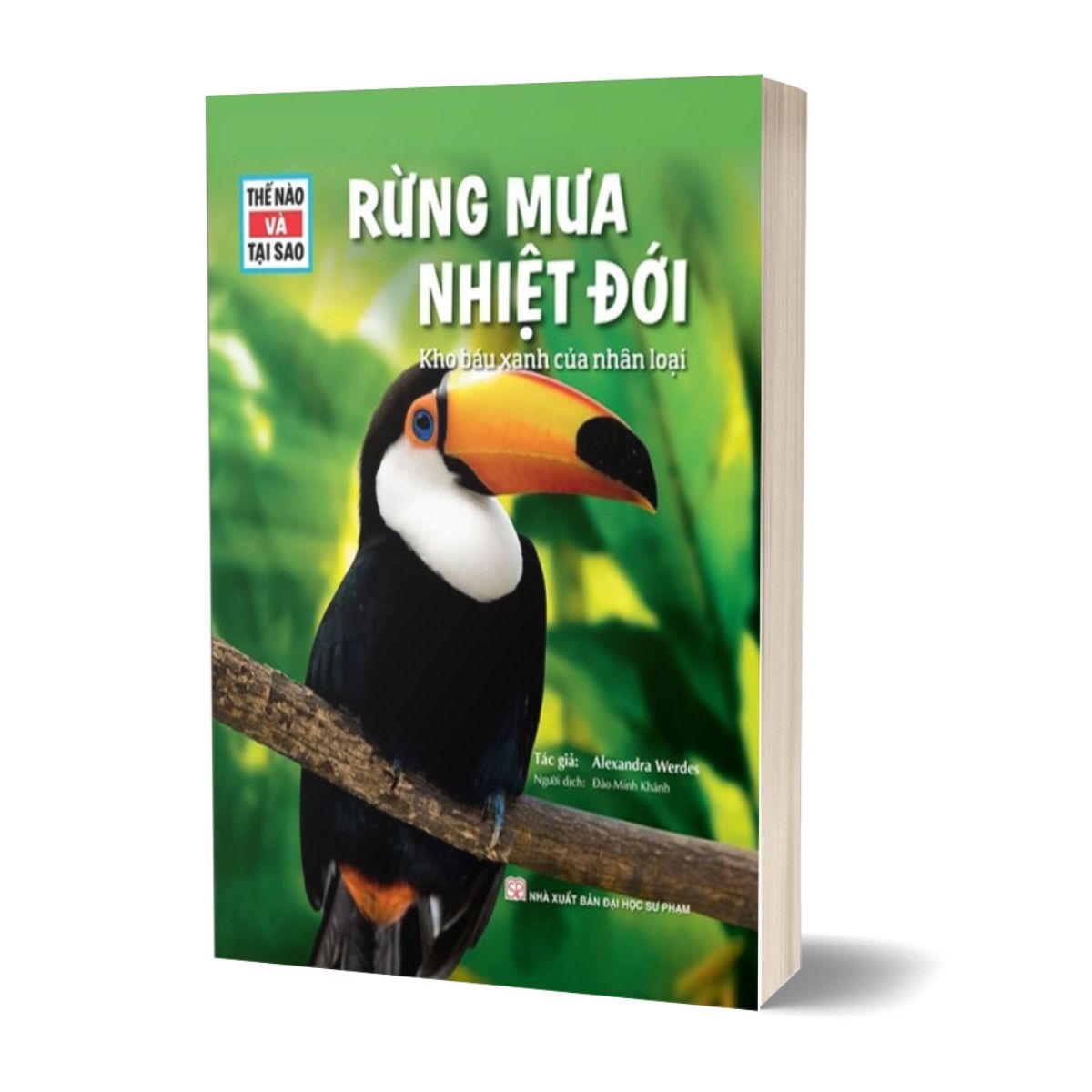 Thế Nào Và Tại Sao - Rừng Mưa Nhiệt Đới