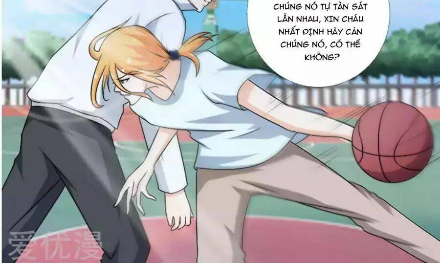 bạn trai hắc đạo của tôi chapter 273 12