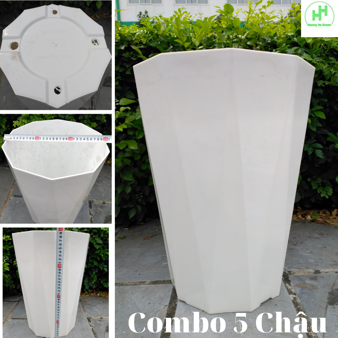 5 Chậu nhựa Kim Cương SO4, KT Miệng 30cm x Cao 40cm - Nhựa Đức Minh