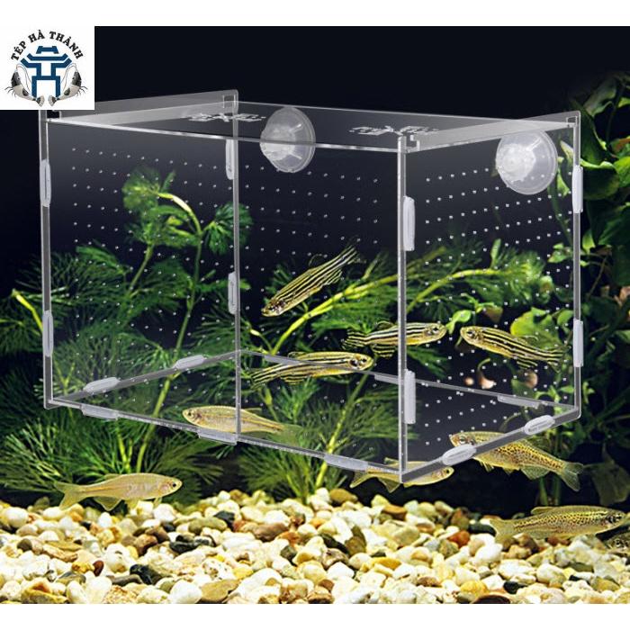 Lồng Dưỡng Cá Tép Mica Siêu Trong Cho Bể Thủy Sinh, Bể Cá Cảnh