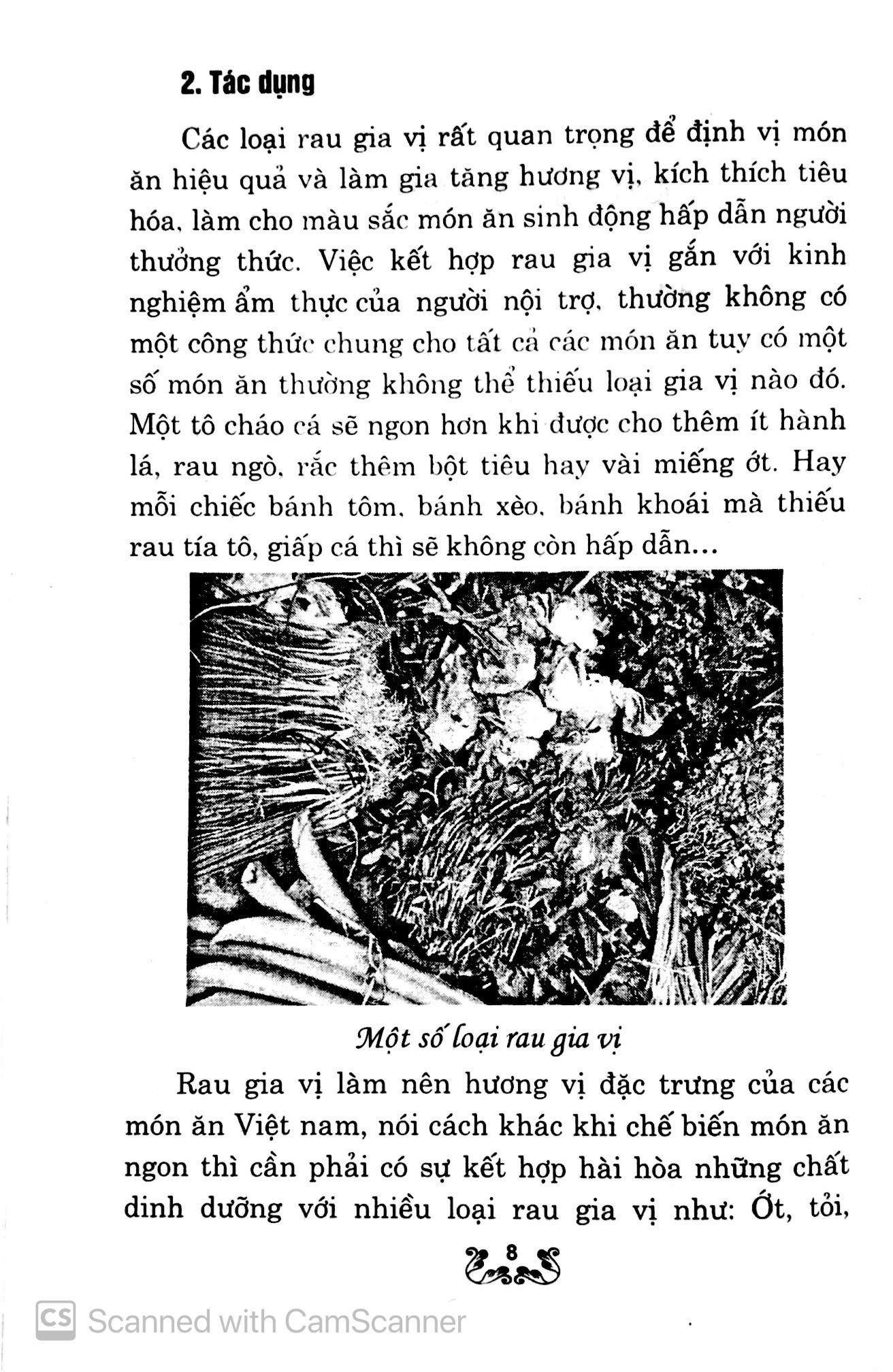 Kỹ Thuật Trồng Và Chăm Sóc Rau Gia Vị