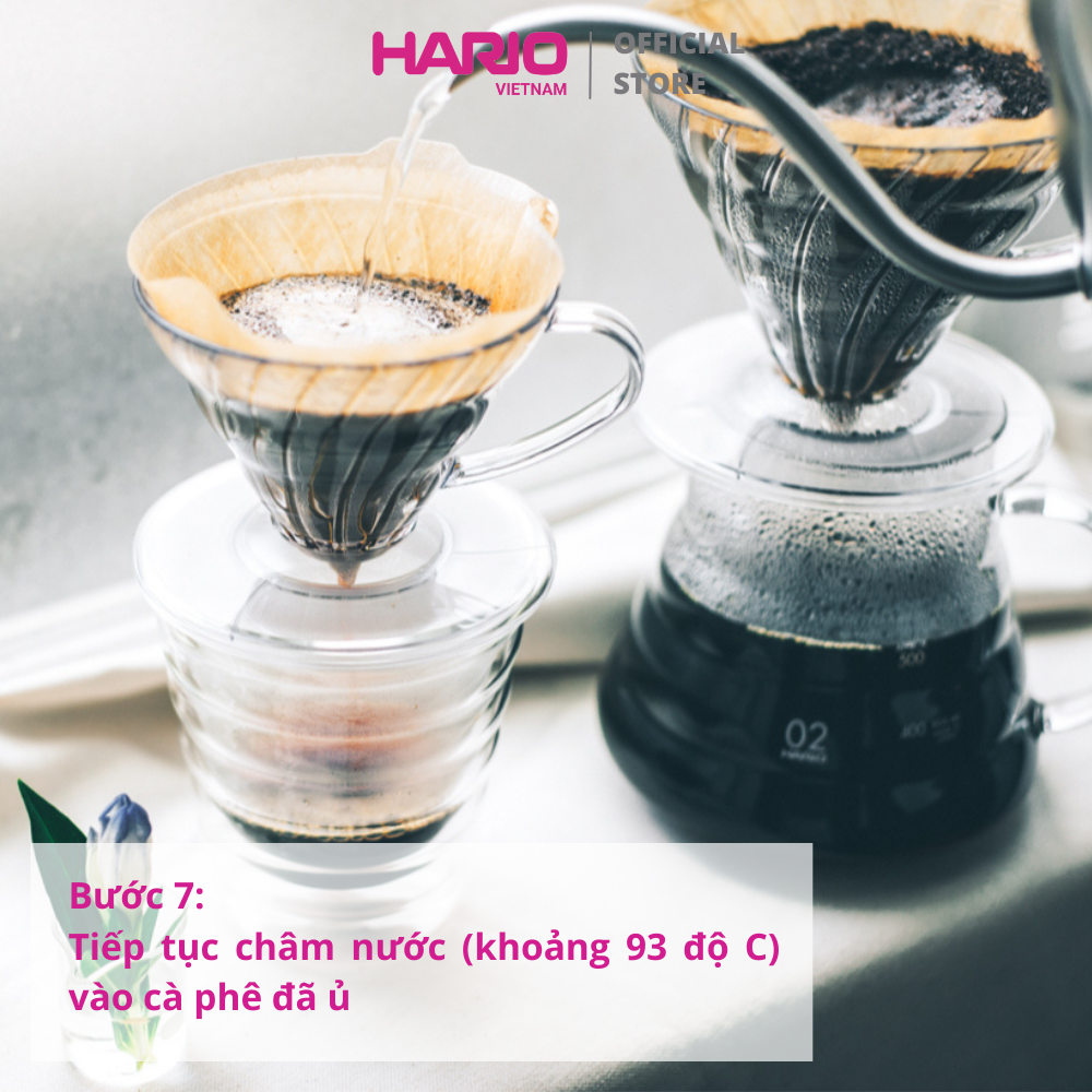 Giấy lọc cà phê Hario 100 cái (V60-VCF-01-100W)