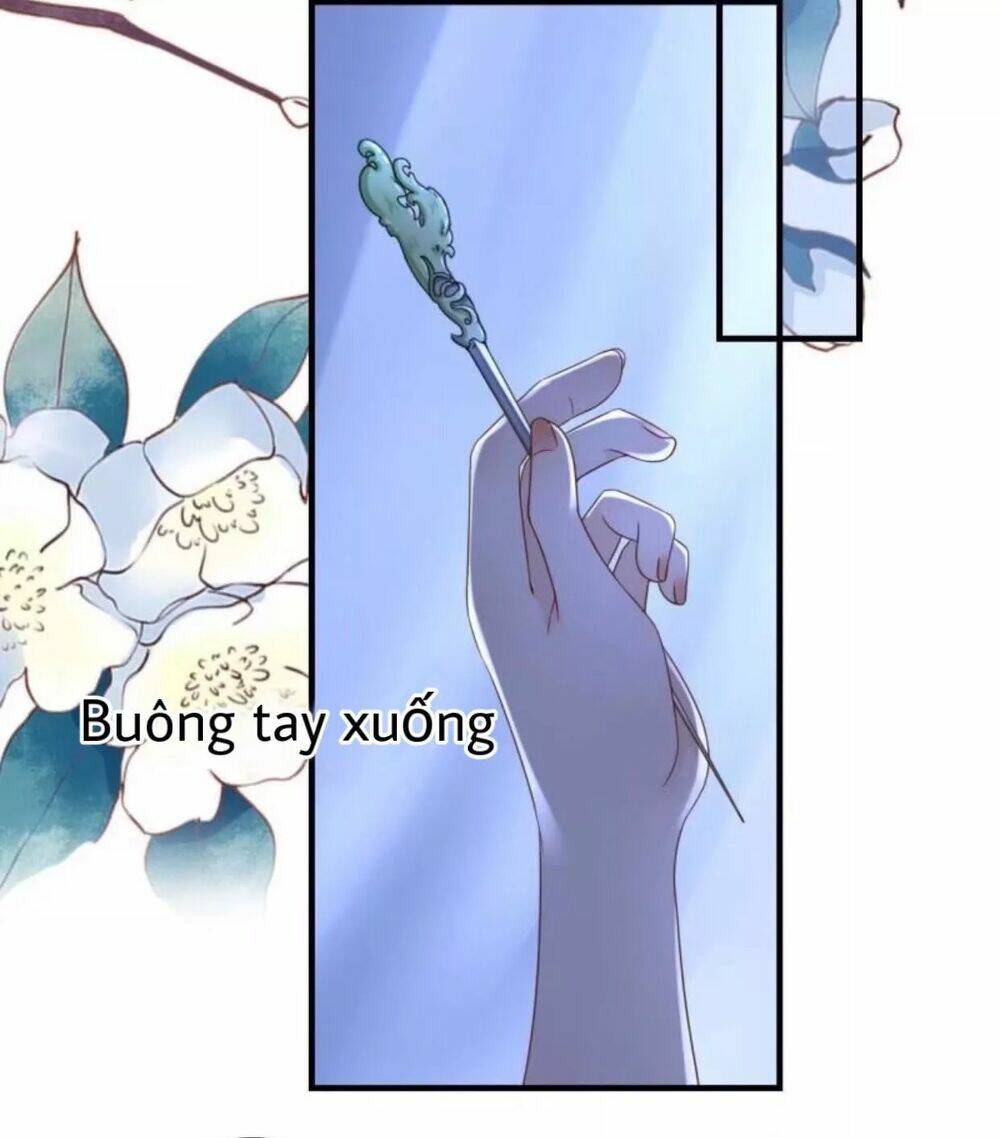 sủng phi của vương chapter 65 21