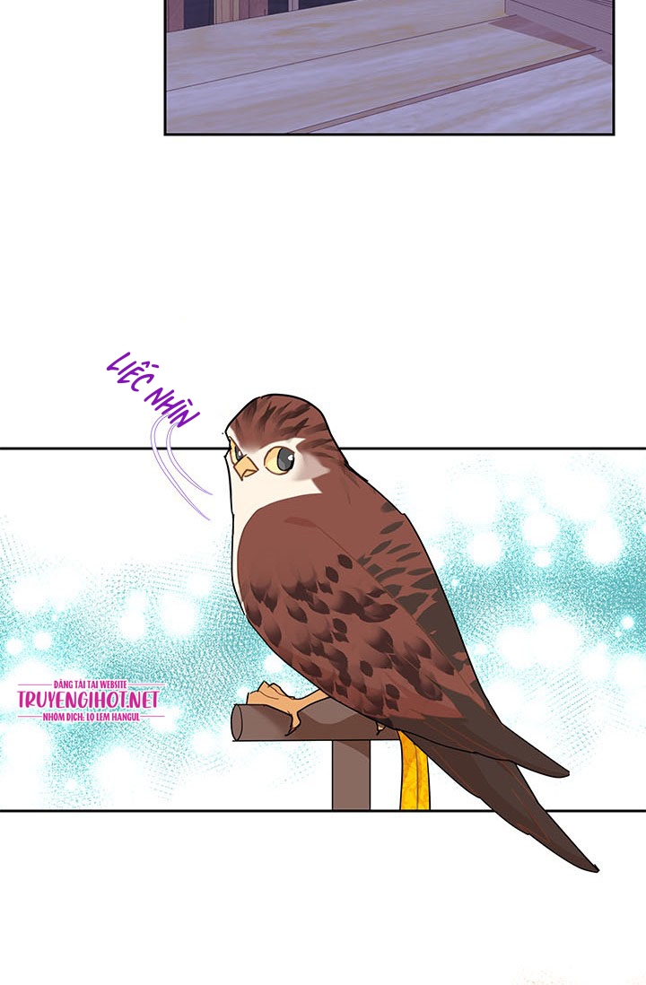 công chúa của loài chim chapter 33 75