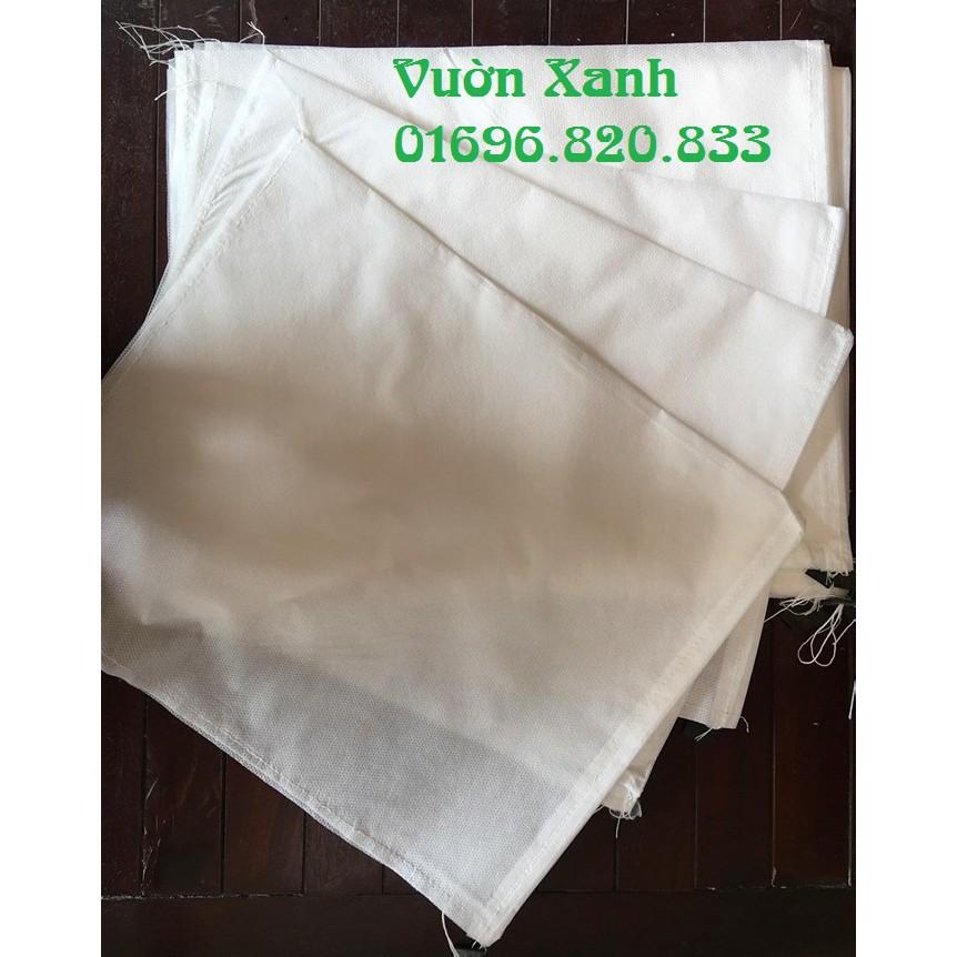 Combo 500 túi bọc bưởi kích thước 30x35cm chất đẹp