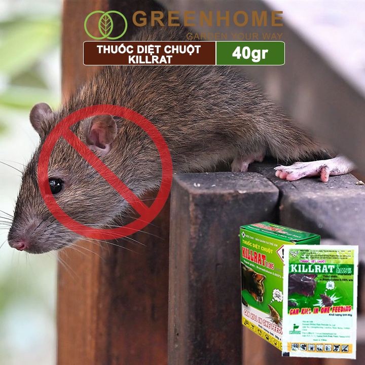 Thuốc diệt chuột Killrat, bao 40gr, thế hệ mới, hiệu quả, diệt cả đàn |Greenhome
