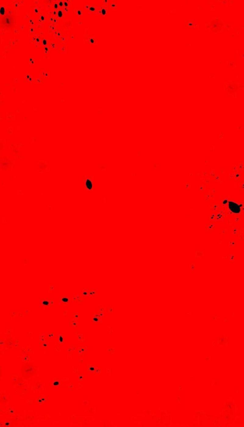 tử thần chapter 63 148