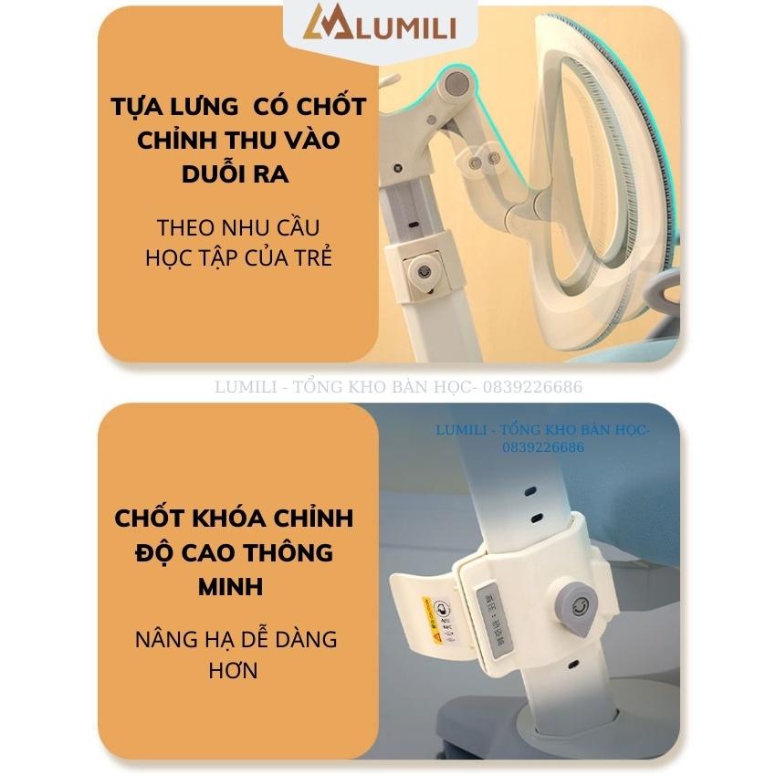 Ghế chống gù cao cấp thiết kế công thái học tiêu chuẩn DS1 điều chỉnh 3 chiều có chốt vặn điều chỉnh