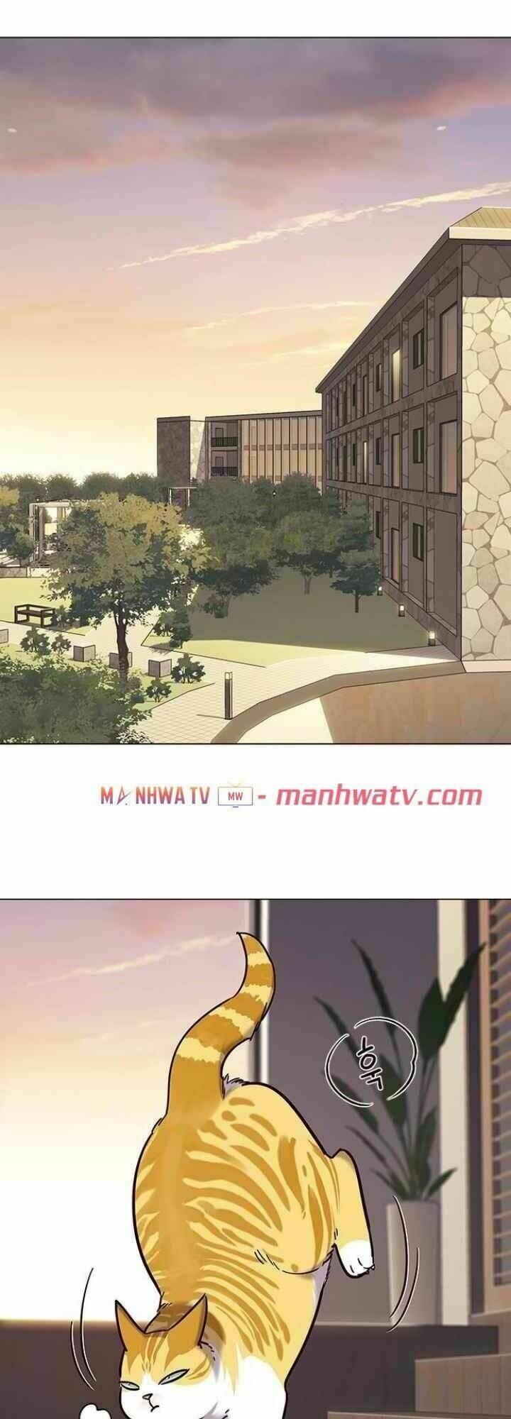 biến thân thành mèo chapter 94 15