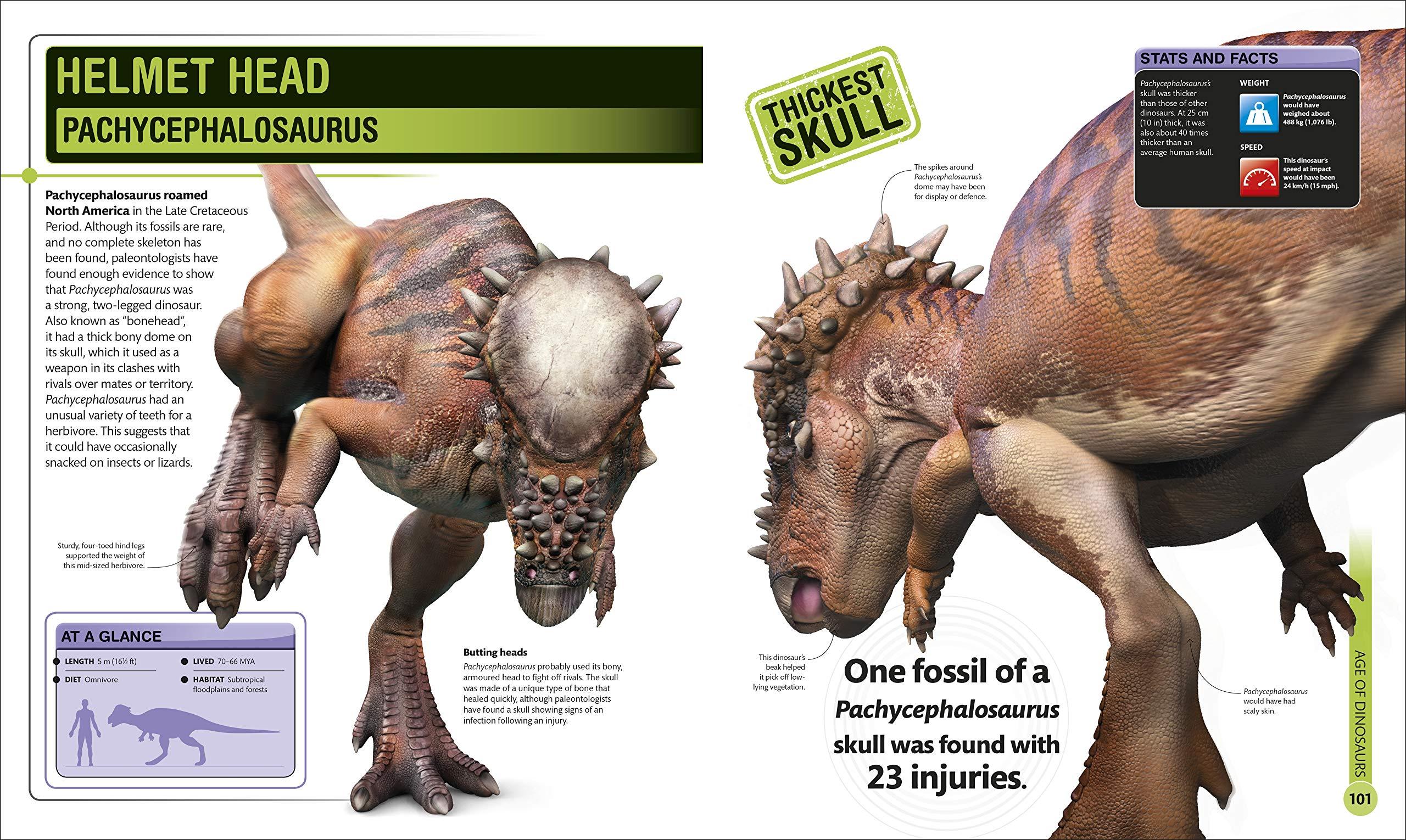 SuperDinosaur: The Biggest, Fastest, Coolest Prehistoric Creatures