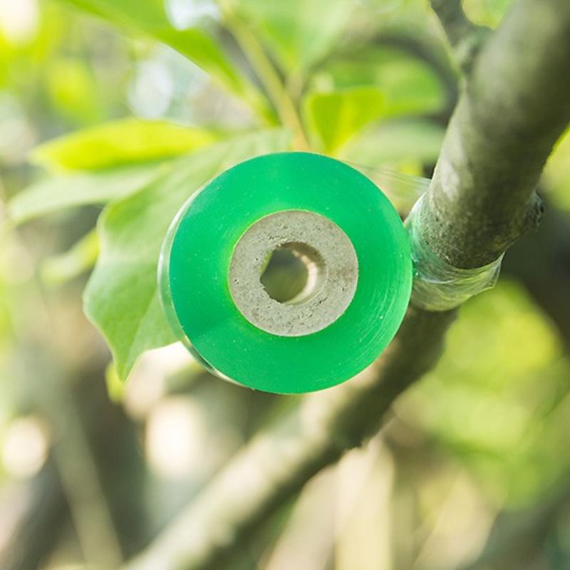 Bộ 2 Cuộn băng ghép cành, Băng ghép cành tự dính