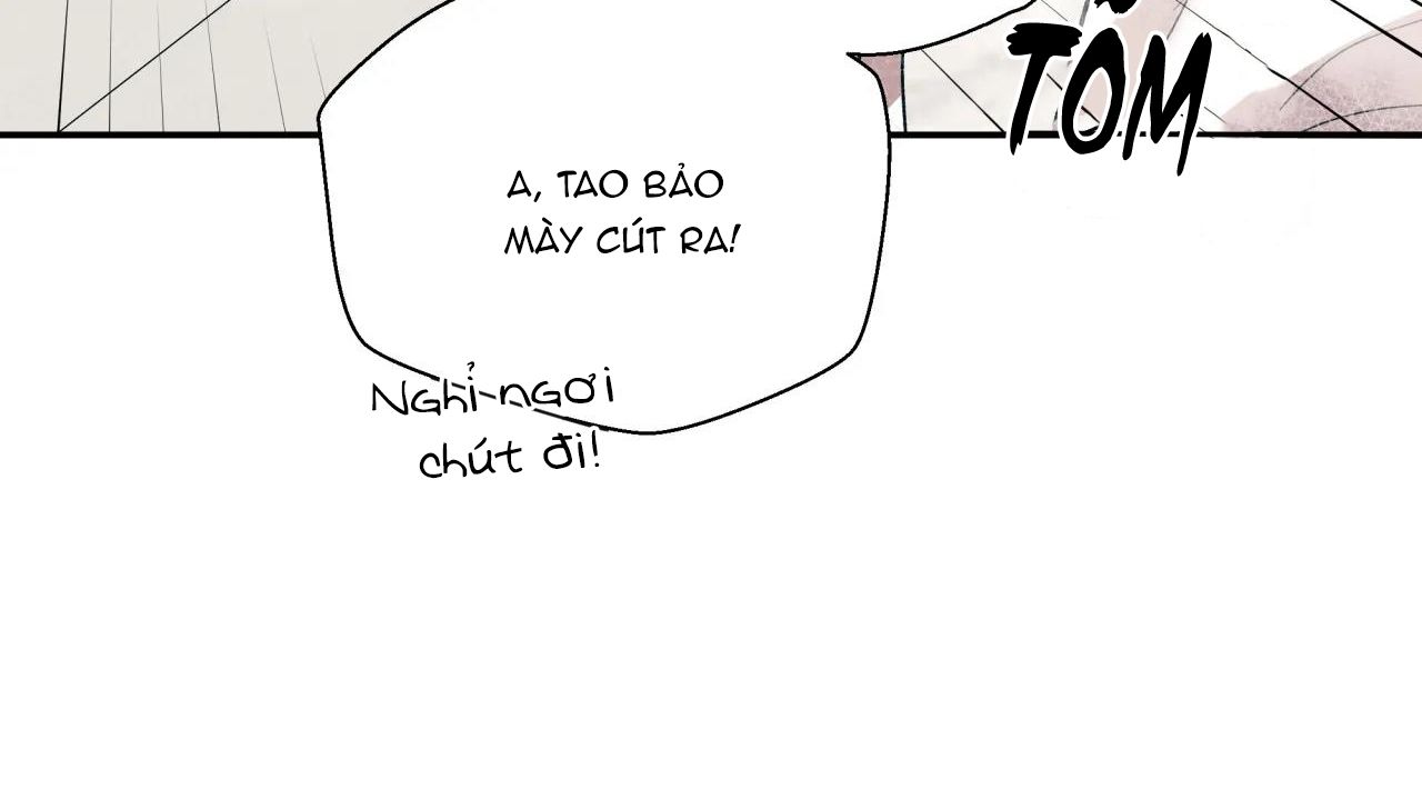 ám ảnh pheromone chapter 25 113